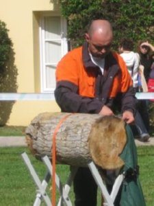 Z DEMOSTRACION (3)  CAMPO ESPAMICA